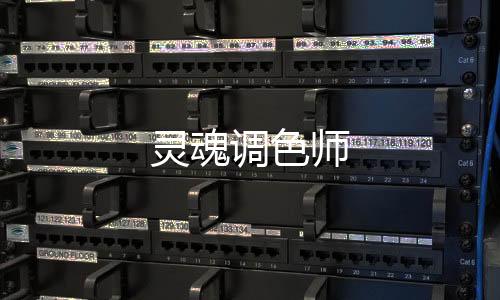 灵魂调色师