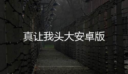 真让我头大安卓版