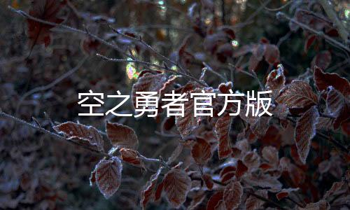 空之勇者官方版