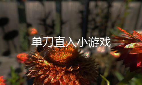 单刀直入小游戏