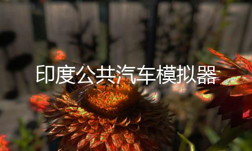 印度公共汽车模拟器