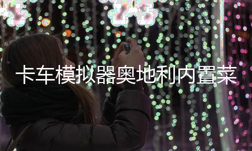 卡车模拟器奥地利内置菜单