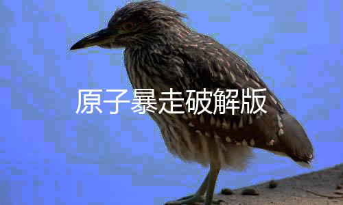 原子暴走破解版