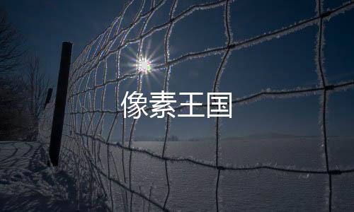 像素王国