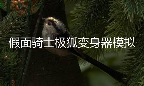 假面骑士极狐变身器模拟器