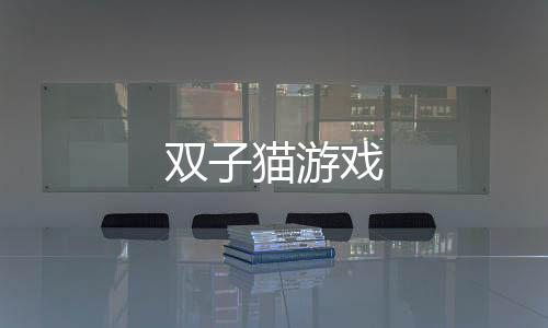 双子猫游戏