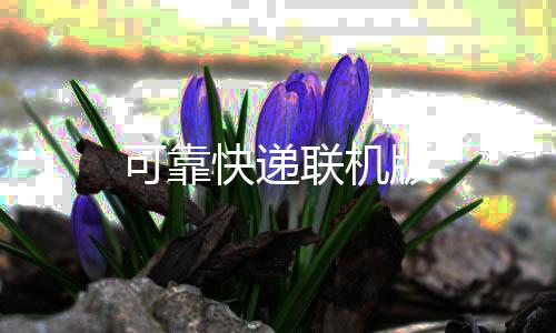 可靠快递联机版
