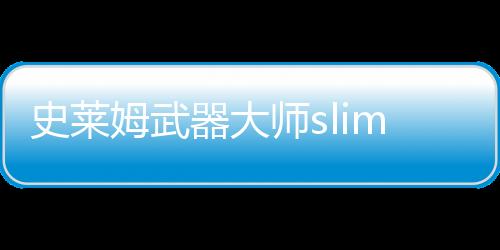 史莱姆武器大师slime weapon master