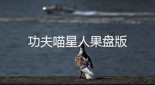 功夫喵星人果盘版