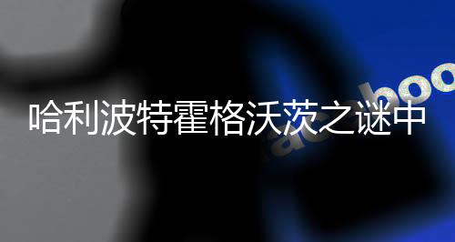 哈利波特霍格沃茨之谜中文