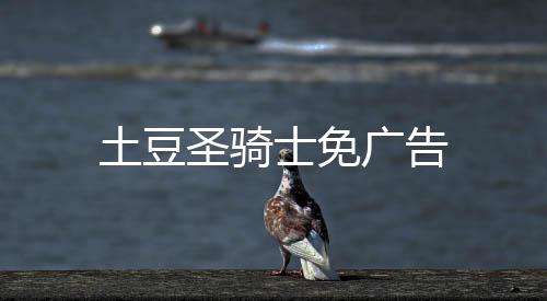 土豆圣骑士免广告