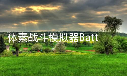 体素战斗模拟器BattleBit免广告