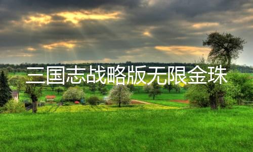 三国志战略版无限金珠
