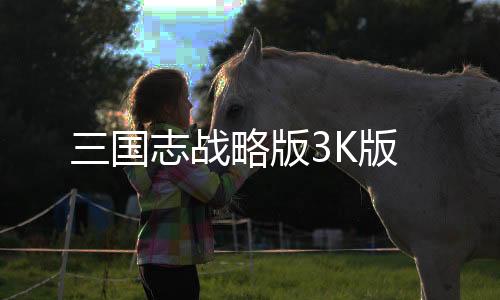 三国志战略版3K版