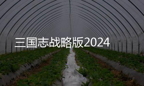 三国志战略版2024