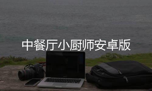 中餐厅小厨师安卓版
