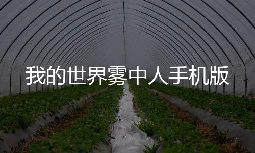 我的世界雾中人手机版