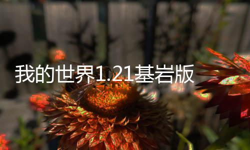 我的世界1.21基岩版国际服