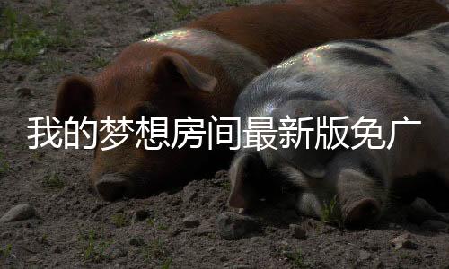 我的梦想房间最新版免广告