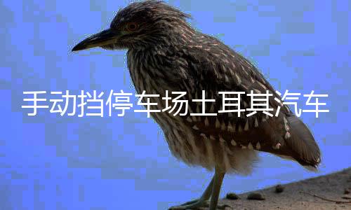 手动挡停车场土耳其汽车模组