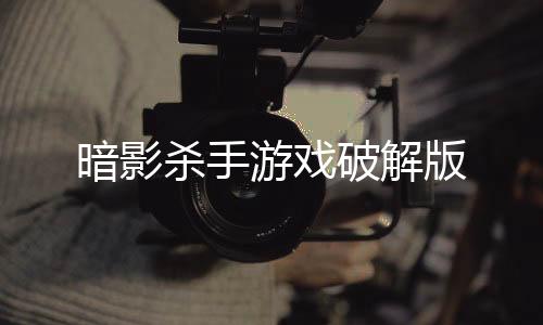 暗影杀手游戏破解版