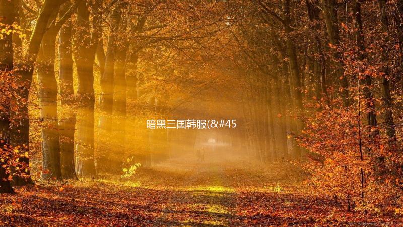 暗黑三国韩服(다크삼국)