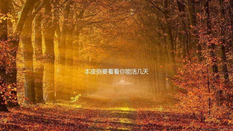 本座倒要看看你能活几天游戏官方