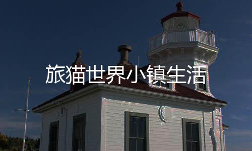 旅猫世界小镇生活
