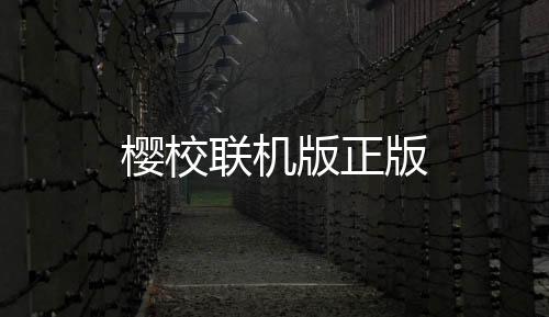 樱校联机版正版