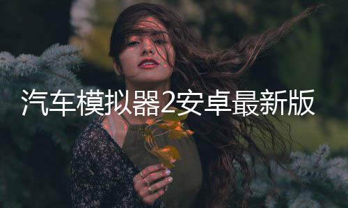 汽车模拟器2安卓最新版