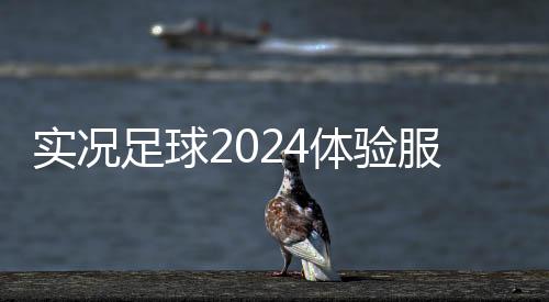 实况足球2024体验服