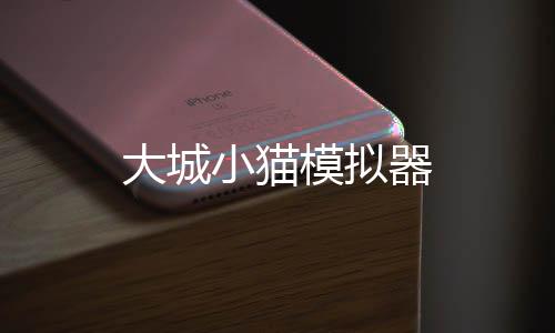 大城小猫模拟器