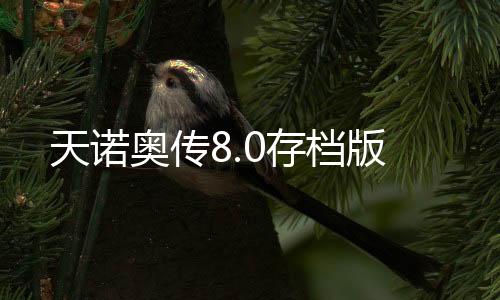 天诺奥传8.0存档版