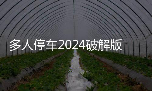多人停车2024破解版最新版(Car Parking)