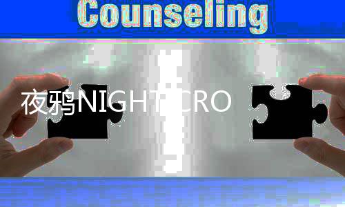 夜鸦NIGHT CROWS国际服