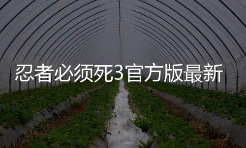 忍者必须死3官方版最新版2024