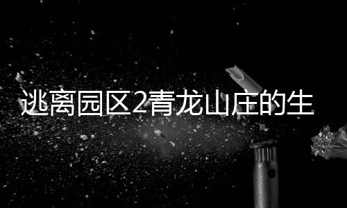 逃离园区2青龙山庄的生存艺术免广告