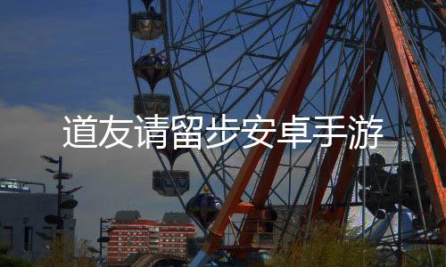道友请留步安卓手游