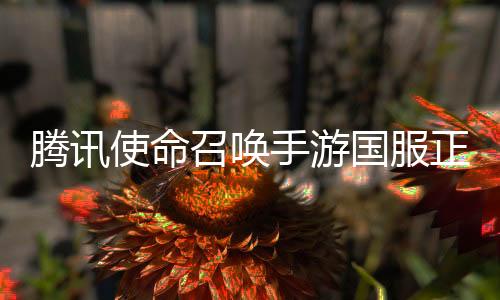腾讯使命召唤手游国服正式版