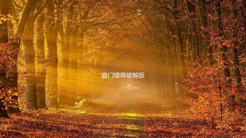 聋门镖局破解版