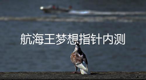 航海王梦想指针内测