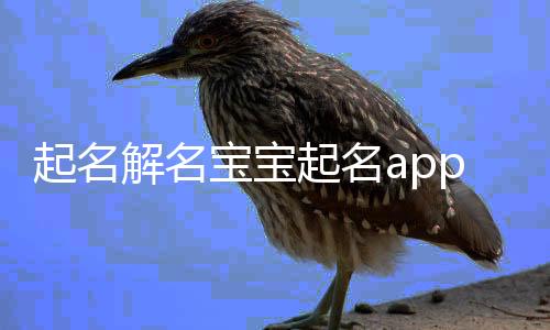 起名解名宝宝起名app