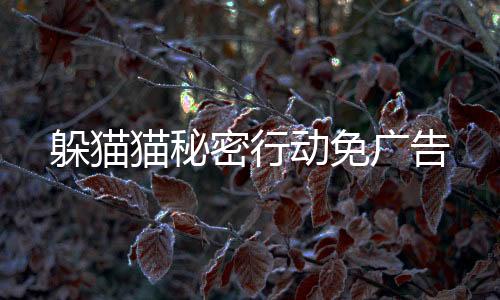 躲猫猫秘密行动免广告