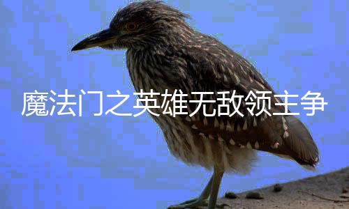 魔法门之英雄无敌领主争霸手游