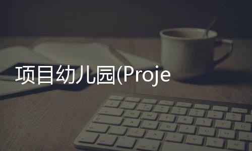 项目幼儿园(Project Kindergarten)
