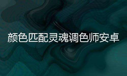 颜色匹配灵魂调色师安卓