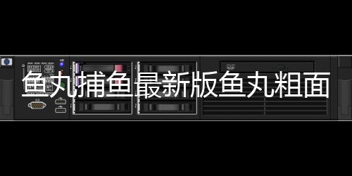 鱼丸捕鱼最新版鱼丸粗面
