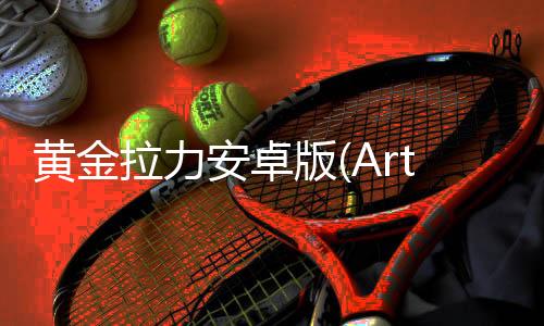 黄金拉力安卓版(Art of Rally)