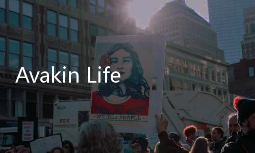 Avakin Life(AvakinLife3D虚拟世界中文最新版)