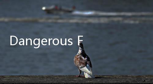 Dangerous Fellows破解版